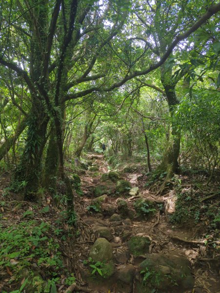 2025.06.28－大屯山連走中正山2823316