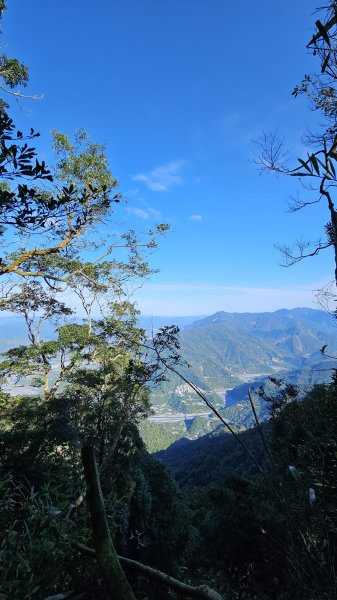 250123-八攀魔王小百岳#073尾寮山。想不到美美兔尾寮山五闖、六登、七衝已攻佔＜台灣森林悠遊網2697990