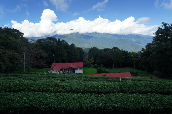 南投 仁愛 北東眼山、中央東眼山2623603