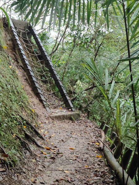 微笑山線：【五分山系】菁桐煤礦段、平溪小黃山段、望古瀑布段2841283