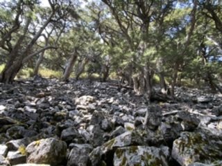 雪山西稜夢幻大景1392740