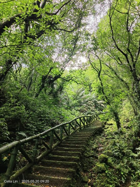 雙溪蝙蝠山-苕谷瀑布-麻竹坑山-梅竹蹊山2793944