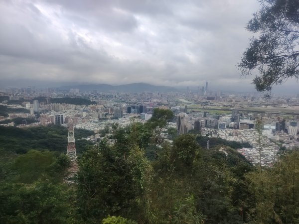 金面山親山步道2664159