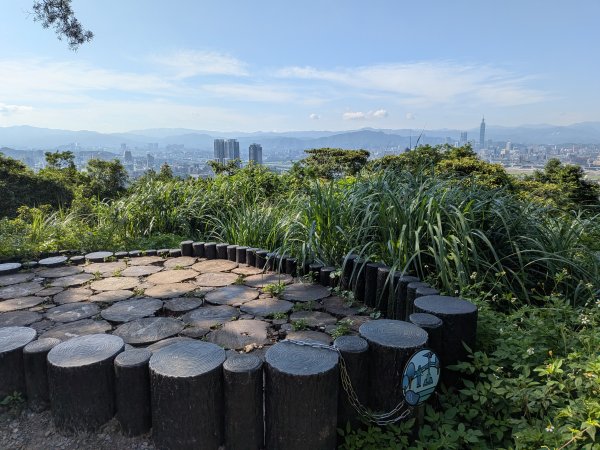 2025-06-21 臺北大縱走第五段來回 & 大崙頭尾山親山步道2818780