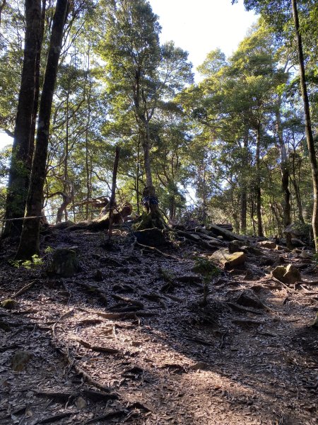 屋我尾山3059397