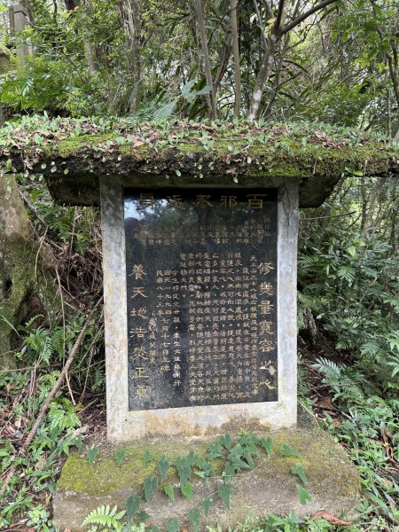 天上山+大棟山 2025.07.202864421