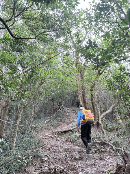 大漢林道登山趣(力里山.具馬奴山.崁頭窩山)  2026.3.283028012