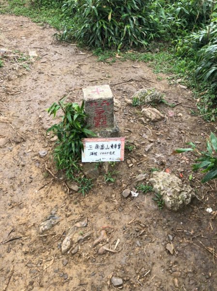 絕美抹茶山“聖母登山步道” 628980