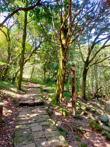 大屯山泥巴滑溜溜914397