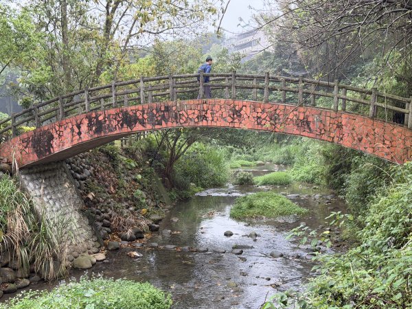 [樟之細路_第一大段RSA01] 2026_0329 清水坑溪景觀3026608