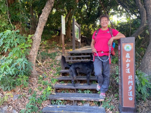 高雄左營區半屏山、龜山步道、蓮花潭1952190