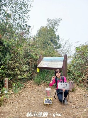 【新竹竹東】五指山登山步道3004819