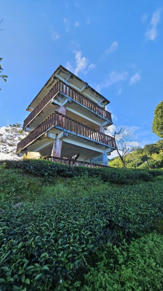 241122-慢走溪頭六連峰（大崙頭山、貓冬望山、民眾坪山、樟空崙山、志騰山、竹崙山）。美美兔沒在怕2654737