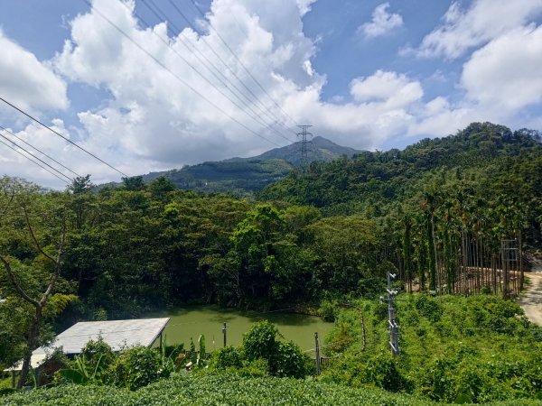 華山4-2號步道上雲嘉連峰2579357