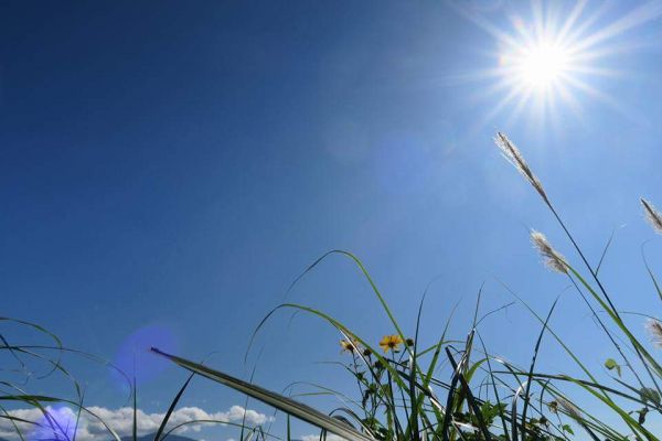 2016-12-14馬那邦山206670