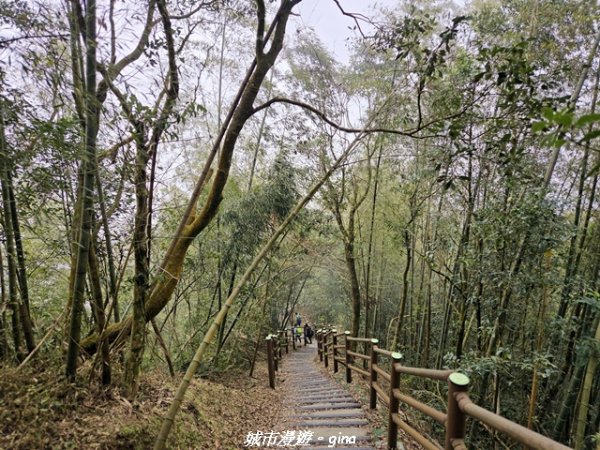【嘉義梅山】雲嘉五連峰縱走3022298