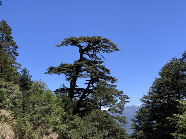 【百岳】閂山鈴鳴 ft.茶岩山、人待山主北峰1682763