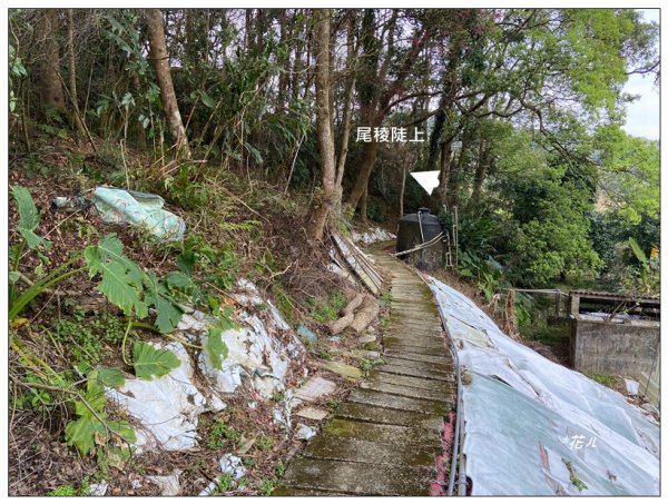 烏蛇山O型路線 (南庄)2726379