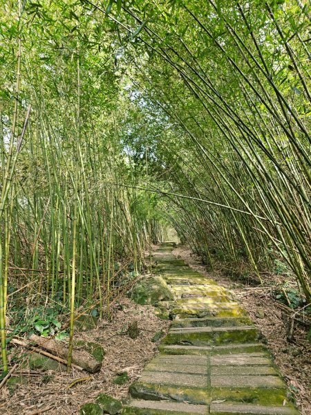 雲嘉大尖山、二尖山步道--(雲林)臺灣百大必訪步道2955783