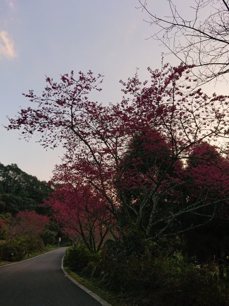 雲霧步道上鵝公髻山2425616