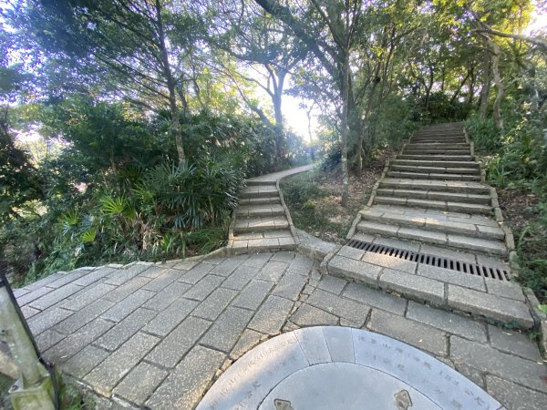 【四獸山 Short】虎豹象先行！獅山封閉中，等新步道開箱再相見2888849