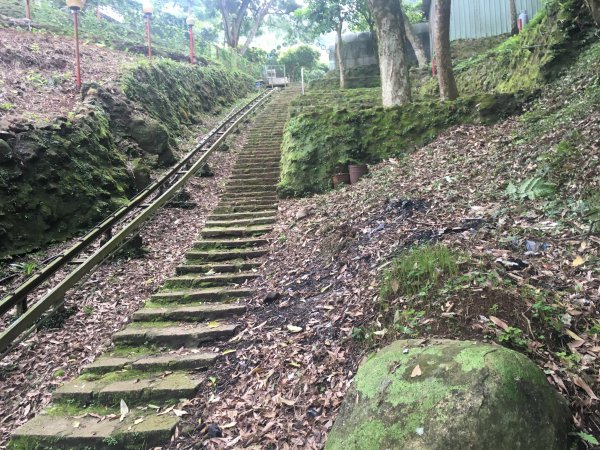 楓樹湖古道-十八彎古道577800