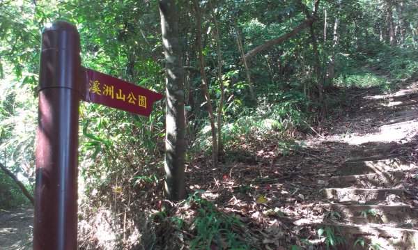 百吉林蔭步道&新溪洲山縱走201309131958393