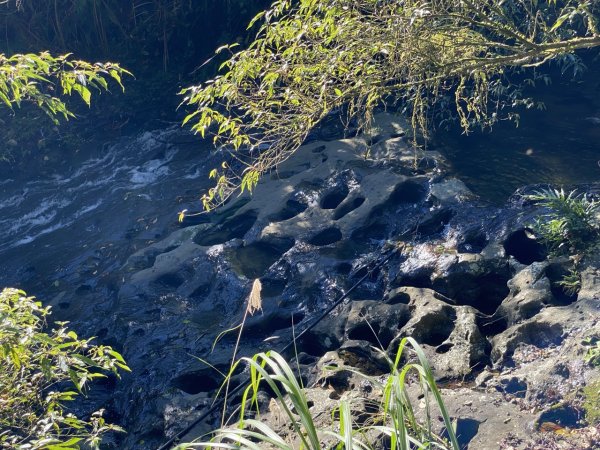 2023/12/14 碇內尖山 龍門山 五分山 淡蘭古道中路2399834