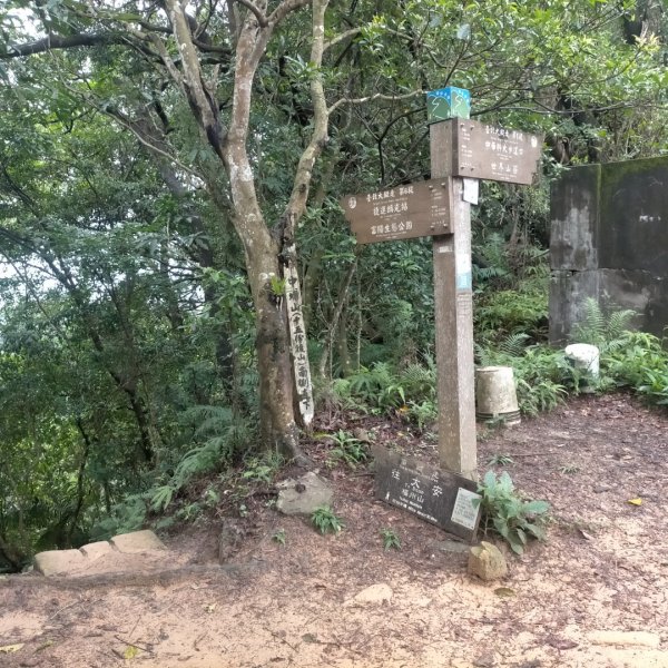 臺北大縱走第六段：中華科技大學至捷運麟光站2810843