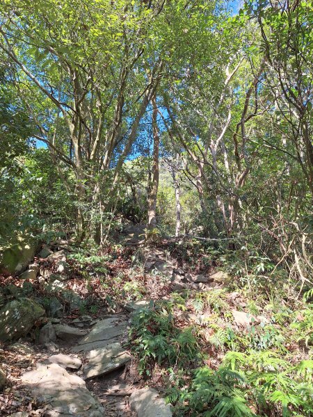 德文山(觀望山)202601052978650