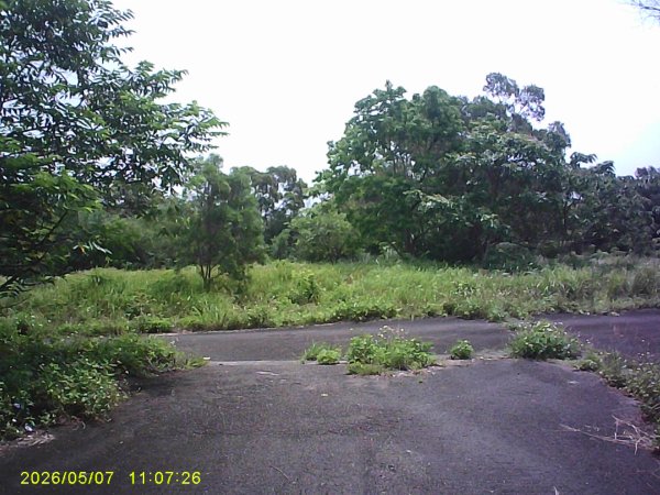 苗栗頭份「鹿廚坑步道」健走，順道拜訪濫坑山、鹿廚坑山、中央尖！3079121