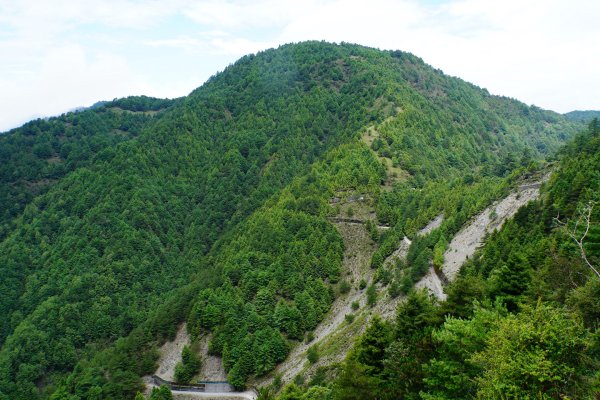 臺灣 嘉義 玉山3110175