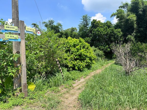 南埔村觀音步道和挑水壢古道順遊客家村落2558742