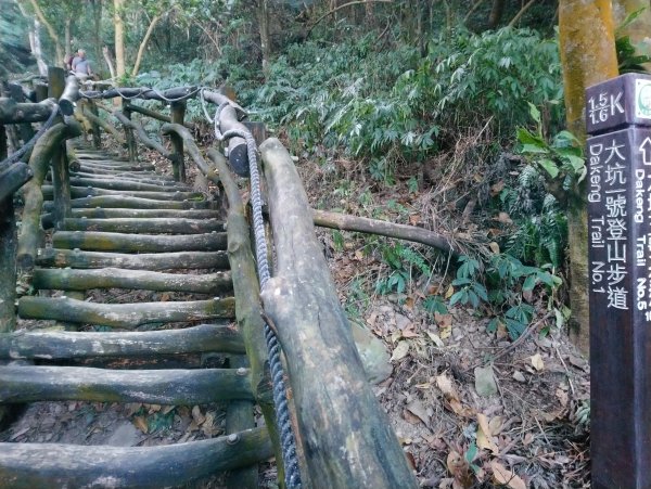 大坑步道全包一起登( 2 3維修)747632