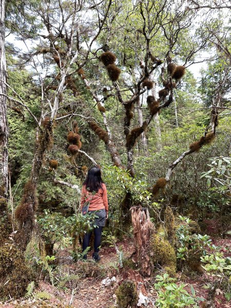 魔幻森林三星山與三星池1658328