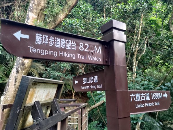 【新竹縣峨嵋鄉】藤坪步道2833239