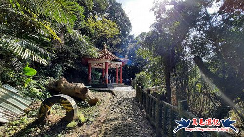 【新竹】飛鳳山、中坑山、飛鳳園流籠步道