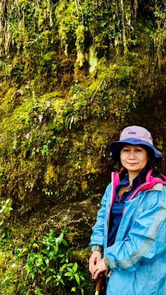 卡保石壁一葉蘭（耘夢谷上逐鹿山下O走）2809522