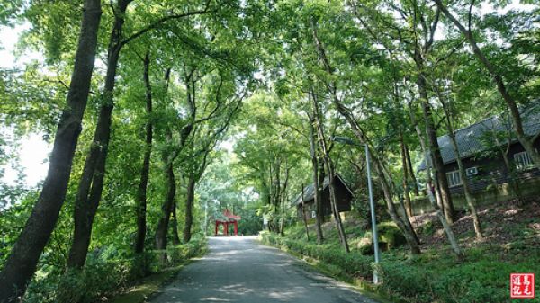 【台中】東勢森林園區-侏儸紀公園