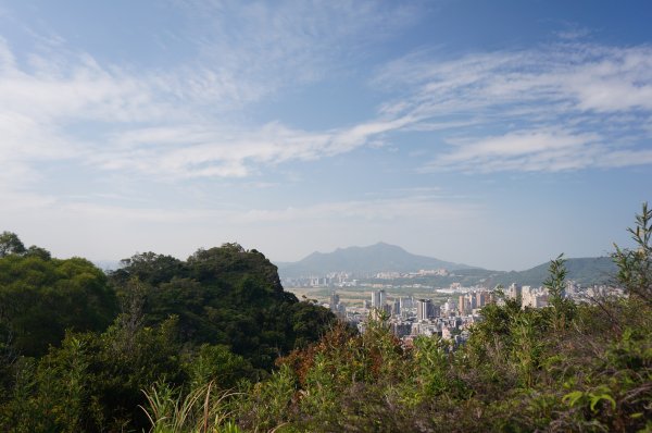 軍艦岩、丹鳳山親山步道1986012