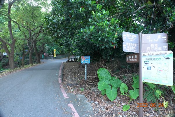 彰化 社頭 清水岩中央嶺造林步道2198368