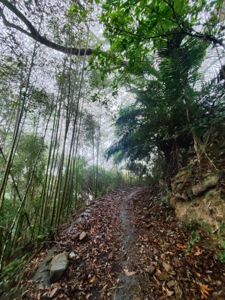 谷關老八阿冷山2699781