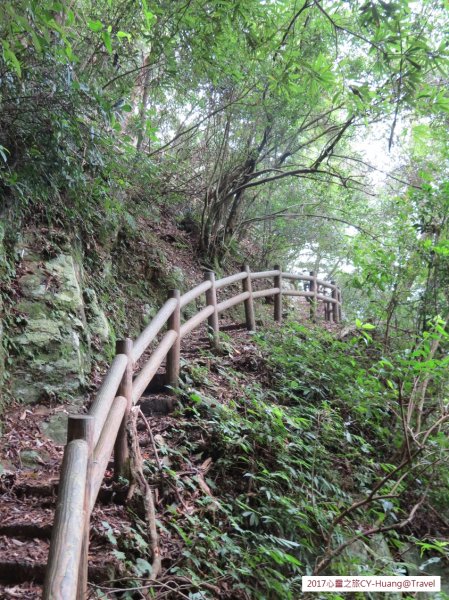 《南投》心靈之旅｜惠蓀林場步道群20171010-212890565
