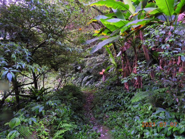 新北 坪林 九芎根山1422935