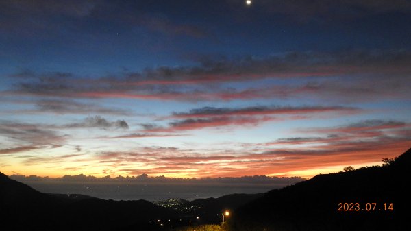 雲山水花鳥蝶 - 天龍國阿伯的日常，沒鳥也沒蝶槓龜 7/14&172217404