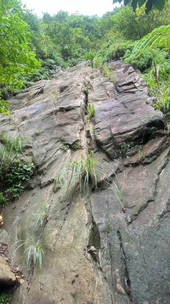 劍龍稜202510172920307