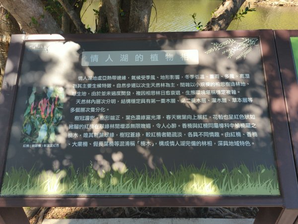 2025.09.13－情人湖步道&大武崙山2885815