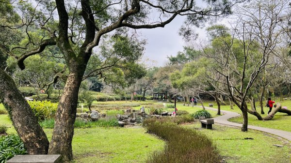 陽明山橫嶺古道|搭公車就能到京都嵐山竹林美景||澄園秘境賞梅前山公園悠閒野餐1603370