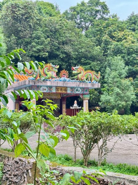 關西大東坑山/草長難過  順訪東安古橋2930479