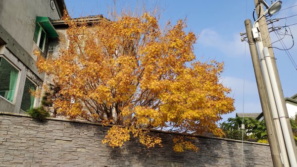 新竹車站巡禮~崎頂到香山2986446